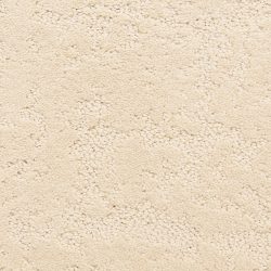 Dixie Home Carpet Classic Demeanor G5291 22260
