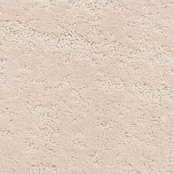 Dixie Home Carpet Classic Demeanor G5291 22261