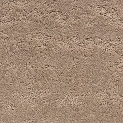 Dixie Home Carpet Classic Demeanor G5291 32249
