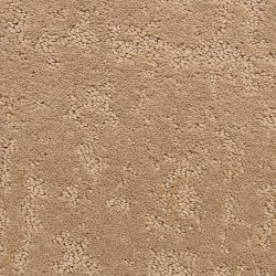 Dixie Home Carpet Classic Demeanor G5291 32254