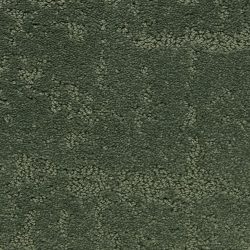 Dixie Home Carpet Classic Demeanor G5291 52264