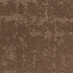 Dixie Home Carpet Classic Demeanor G5291 72243