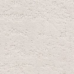 Dixie Home Carpet Classic Demeanor G5291 82244