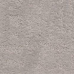Dixie Home Carpet Classic Demeanor G5291 82256