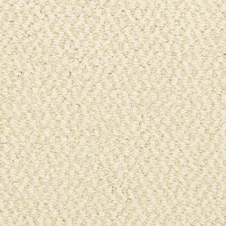 Dixie Home Carpet Hideaway G5301 12350