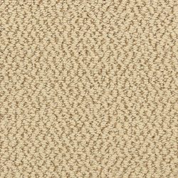 Dixie Home Carpet Hideaway G5301 22352