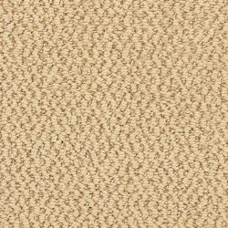 Dixie Home Carpet Hideaway G5301 22357