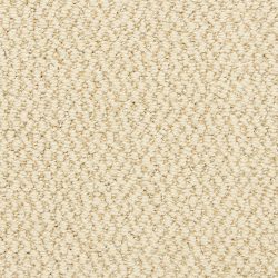 Dixie Home Carpet Hideaway G5301 22358