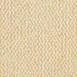 Dixie Home Carpet Hideaway G5301 22362