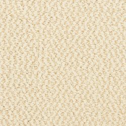 Dixie Home Carpet Hideaway G5301 22363