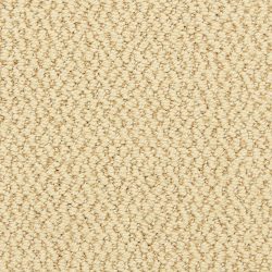 Dixie Home Carpet Hideaway G5301 22368
