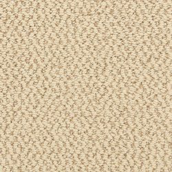 Dixie Home Carpet Hideaway G5301 22370