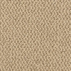 Dixie Home Carpet Hideaway G5301 32353
