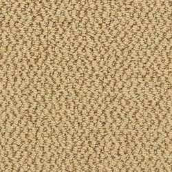 Dixie Home Carpet Hideaway G5301 32356