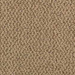 Dixie Home Carpet Hideaway G5301 32364