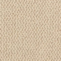Dixie Home Carpet Hideaway G5301 32371