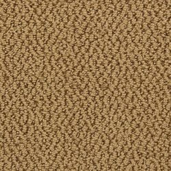 Dixie Home Carpet Hideaway G5301 72369