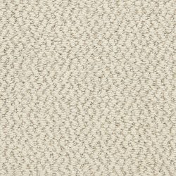 Dixie Home Carpet Hideaway G5301 82354