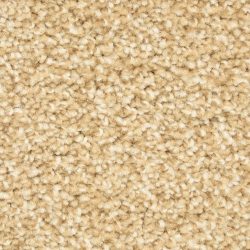 Dixie Home Carpet Solero G5035 23701