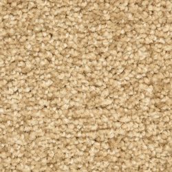 Dixie Home Carpet Solero G5035 23720
