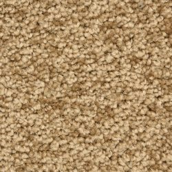 Dixie Home Carpet Solero G5035 33565