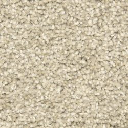 Dixie Home Carpet Solero G5035 83800