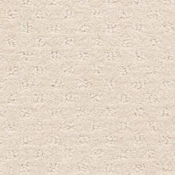 Dixie Home Carpet Dreamer G5306 14221