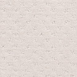 Dixie Home Carpet Dreamer G5306 14245