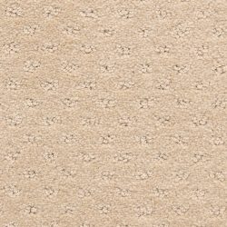 Dixie Home Carpet Dreamer G5306 24223