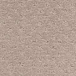 Dixie Home Carpet Dreamer G5306 24224