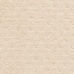 Dixie Home Carpet Dreamer G5306 24234