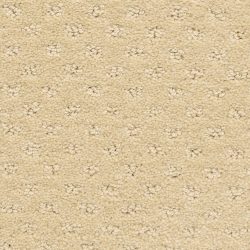 Dixie Home Carpet Dreamer G5306 24242