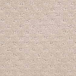 Dixie Home Carpet Dreamer G5306 24247