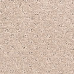 Dixie Home Carpet Dreamer G5306 24319