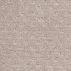 Dixie Home Carpet Dreamer G5306 24332