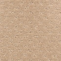 Dixie Home Carpet Dreamer G5306 34238