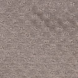 Dixie Home Carpet Dreamer G5306 34309