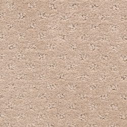 Dixie Home Carpet Dreamer G5306 34323