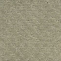 Dixie Home Carpet Dreamer G5306 54220