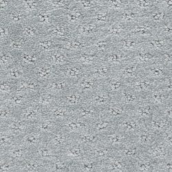 Dixie Home Carpet Dreamer G5306 54230
