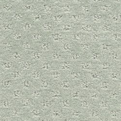 Dixie Home Carpet Dreamer G5306 54233