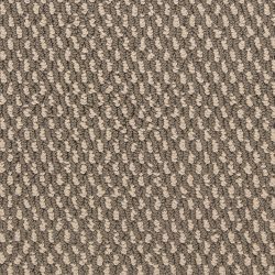 Dixie Home Carpet Larson G5314 82210