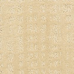 Dixie Home Carpet Willow Lake G5317 24217