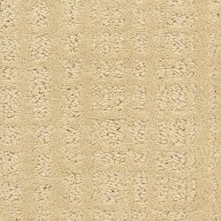 Dixie Home Carpet Willow Lake G5317 24259