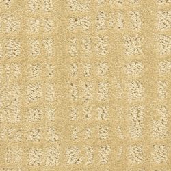 Dixie Home Carpet Willow Lake G5317 25423