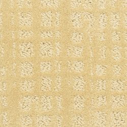 Dixie Home Carpet Willow Lake G5317 43224