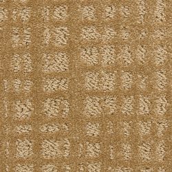 Dixie Home Carpet Willow Lake G5317 78319