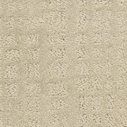 Dixie Home Carpet Willow Lake G5317 86714