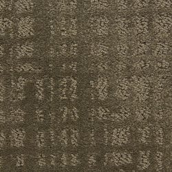 Dixie Home Carpet Willow Lake G5317 89810