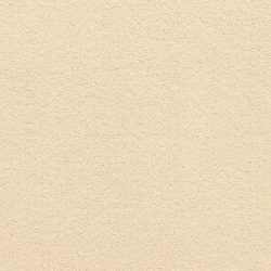Dixie Home Carpet Grand Isle G5322 19710